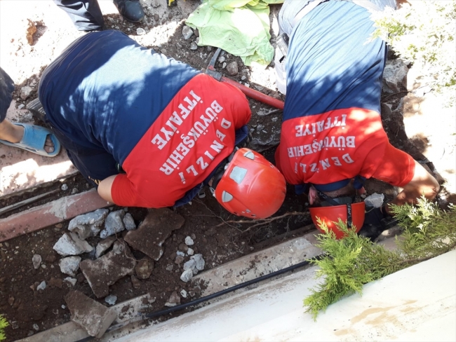 Denizli'de boruya sıkışan 4 kaplumbağayı itfaiye ekipleri kurtardı